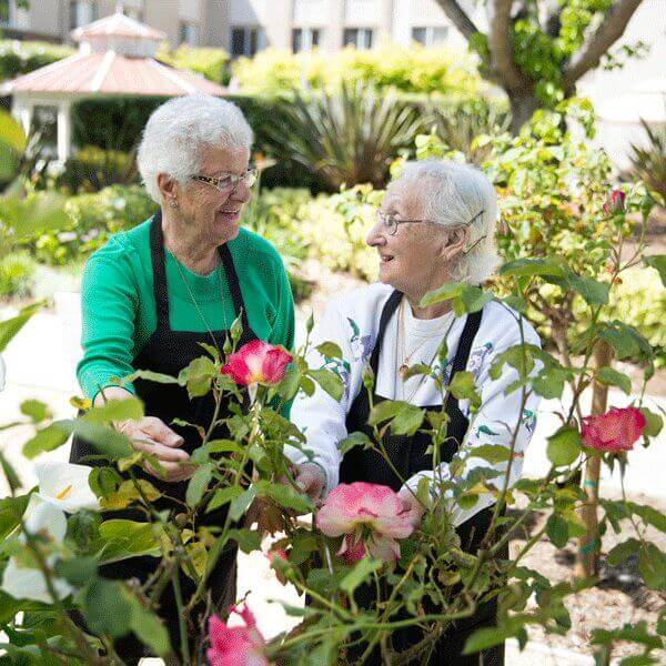 Smell the roses at Carlton Senior Living